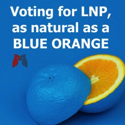 LNP COALITION